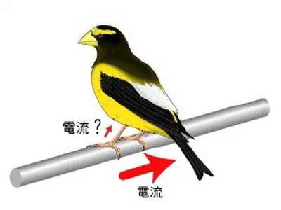 牢記這三條線，讓你規(guī)避觸電風(fēng)險(xiǎn)！
