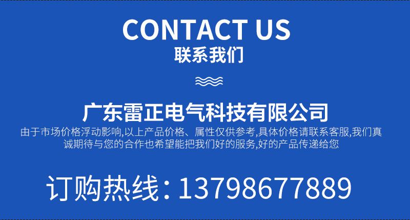 聯(lián)系雷正電氣